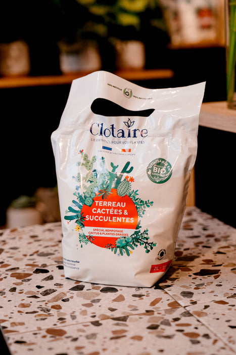 Clotaire - Terreau cactées et succulentes 2L