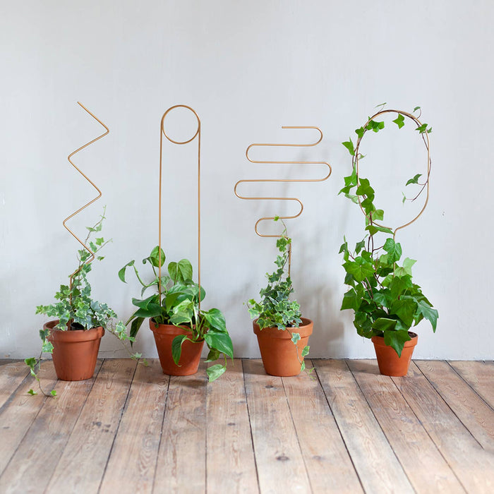 Tuteur doré métal pour plantes grimpantes – Squiggle