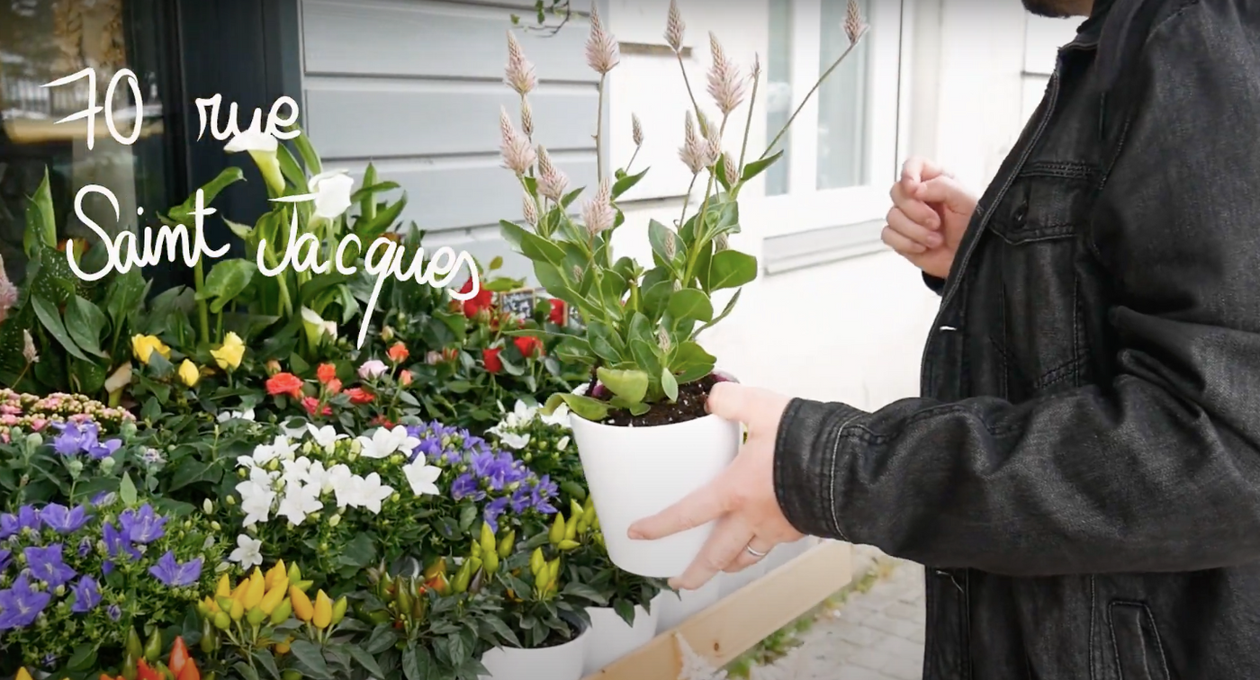 Homme tenant une plante de Pacheco Fleuriste Nantes