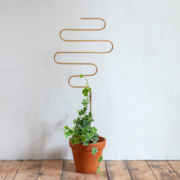Tuteur doré métal pour plantes grimpantes – Squiggle