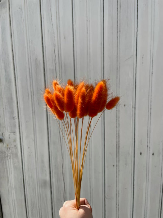 Lagure orange