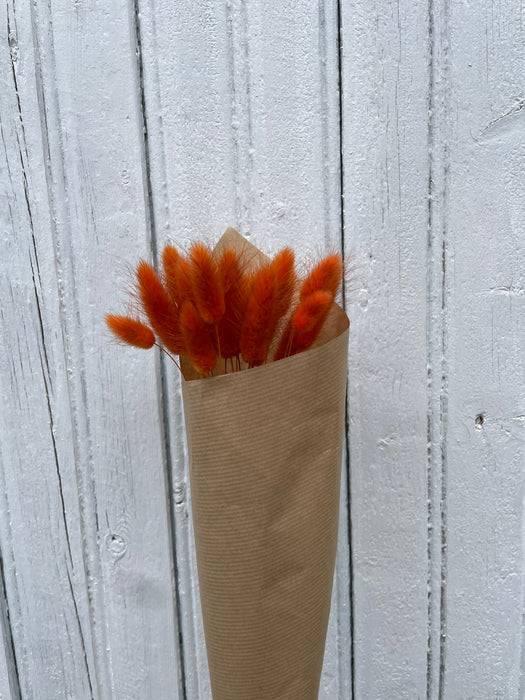 Lagure orange