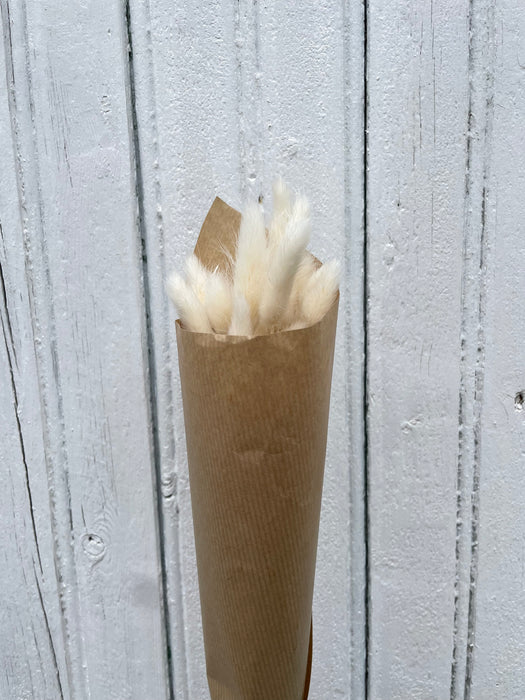 Lagure blanche
